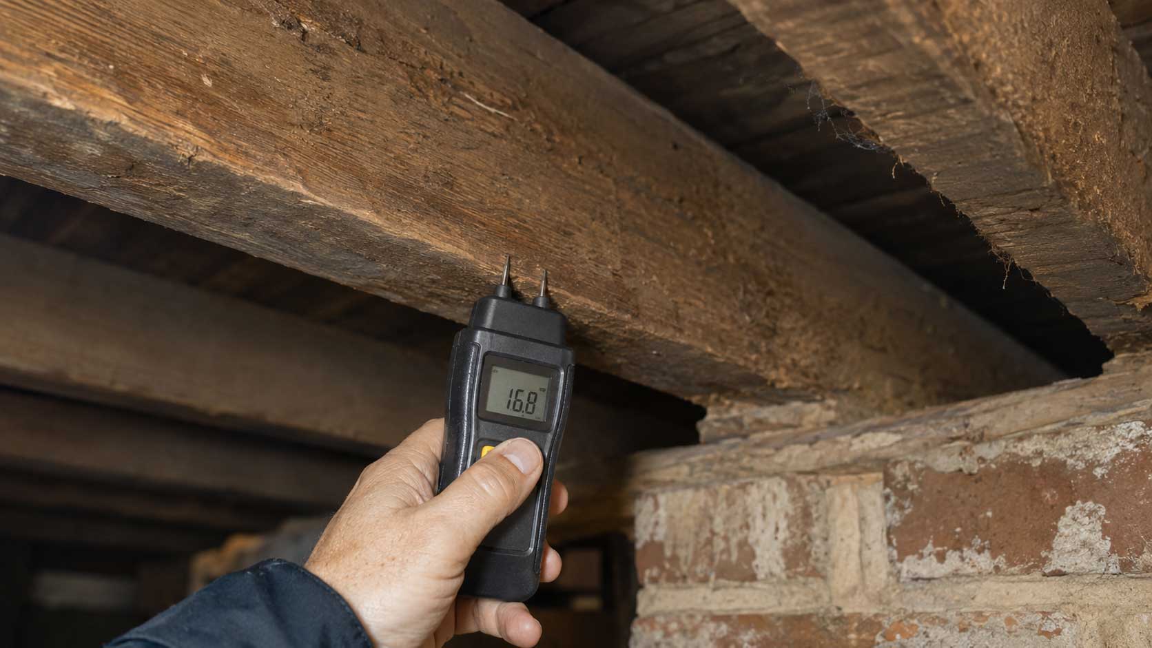 Timber and building detail relevant to timber moisture and decay
