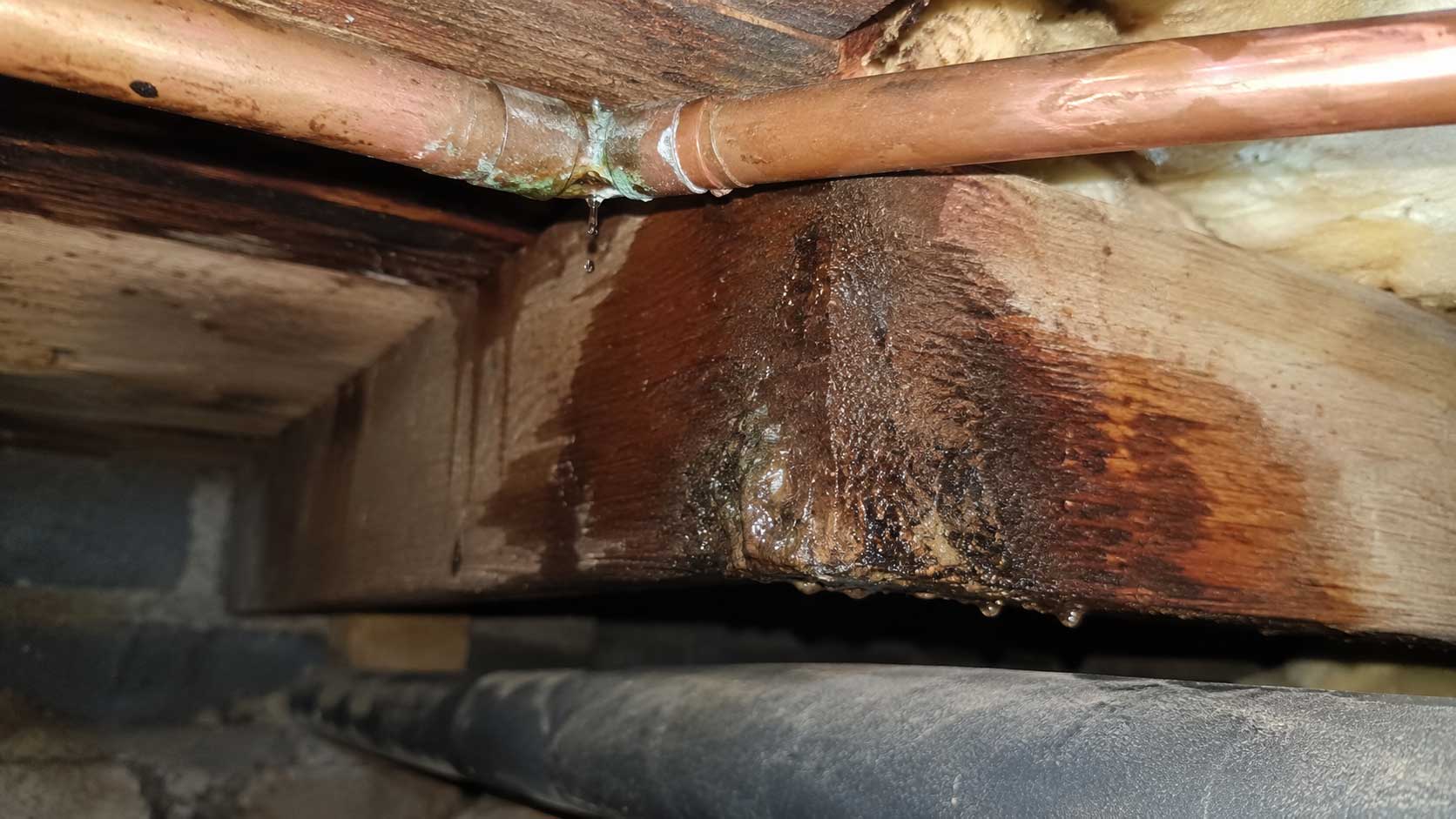 Rainwater defect capable of wetting building timber