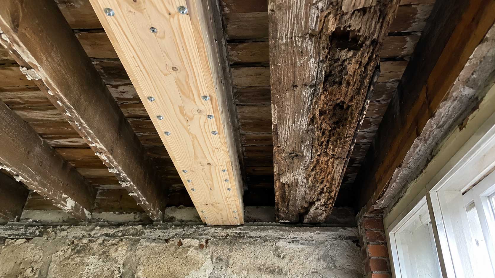 Timber and building detail relevant to dry rot treatment explained
