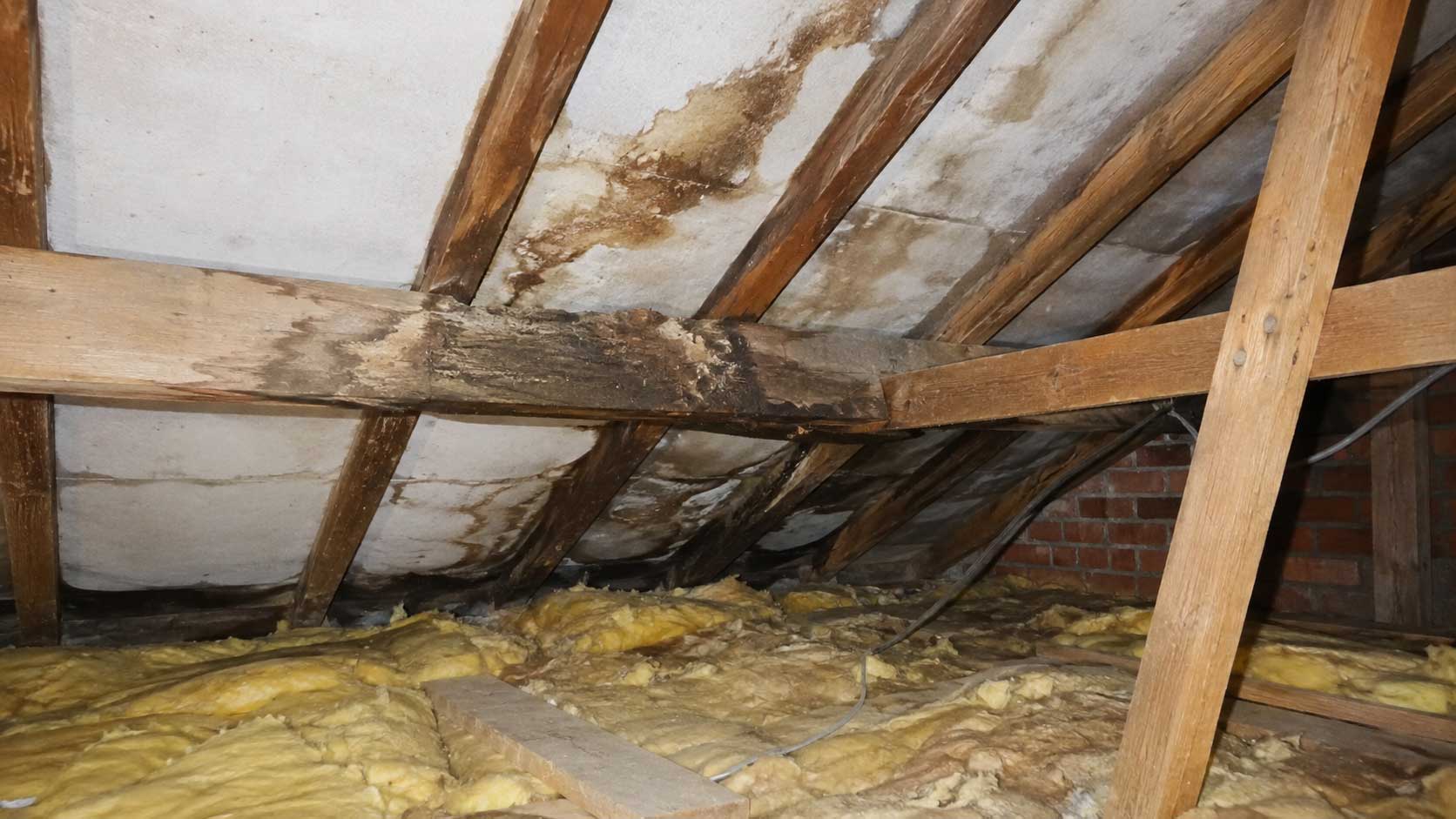 Timber and building detail relevant to dry rot in roof timbers