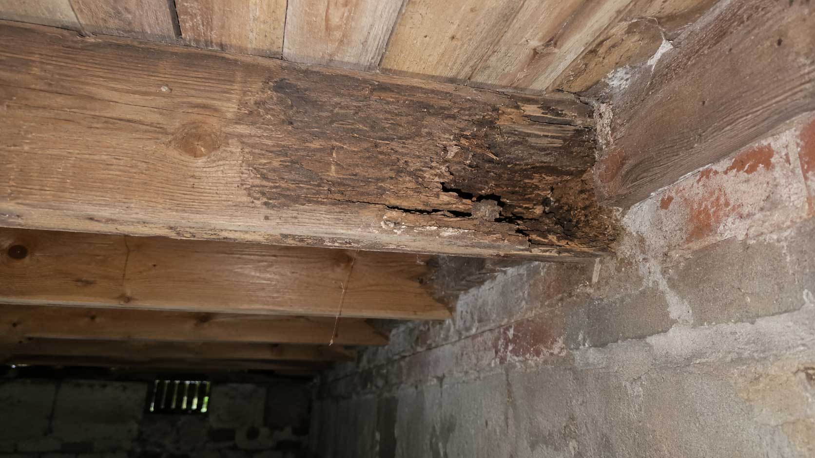 Timber and building detail relevant to how to tell whether structural timber is rotten