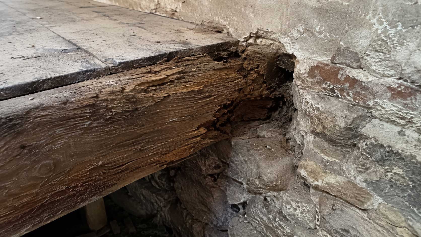 Rotten end of a structural floor joist where it meets masonry