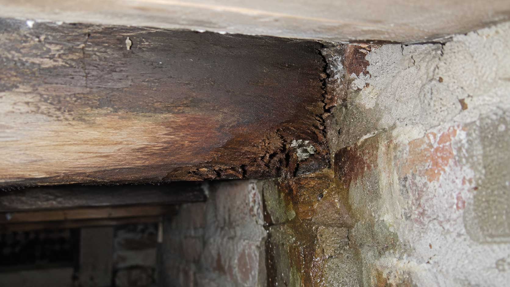 Timber and building detail relevant to rotten joist ends: what usually causes them?