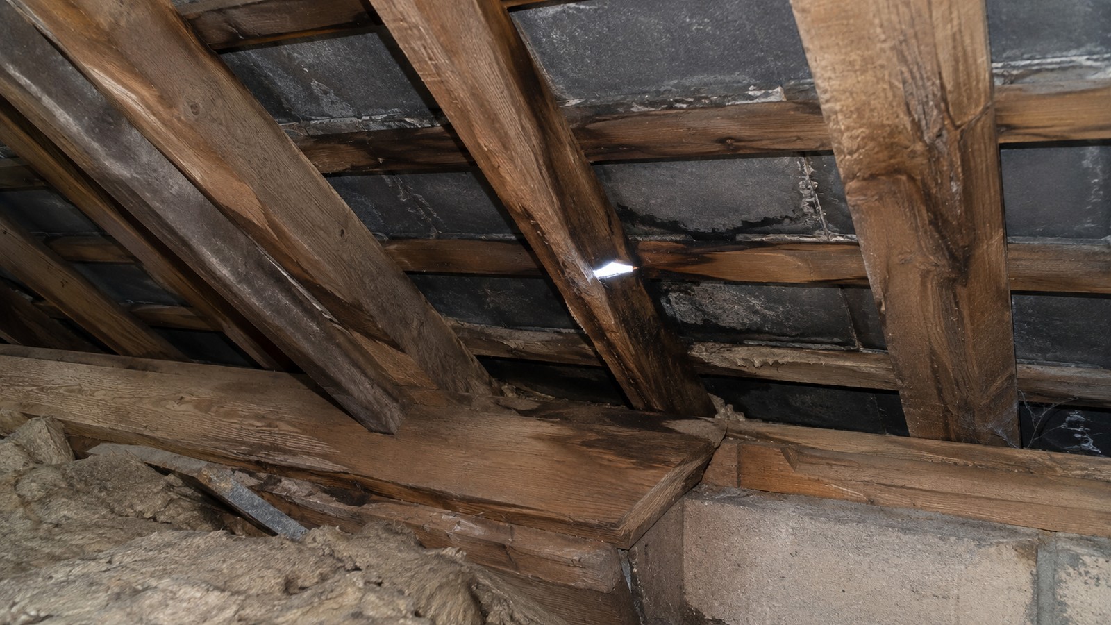 Timber and building detail relevant to timber decay explained